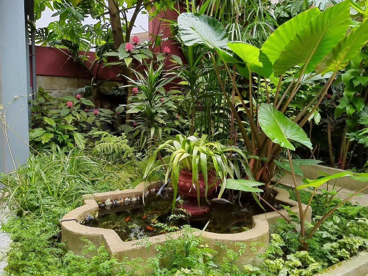 Garden House Appartamento
